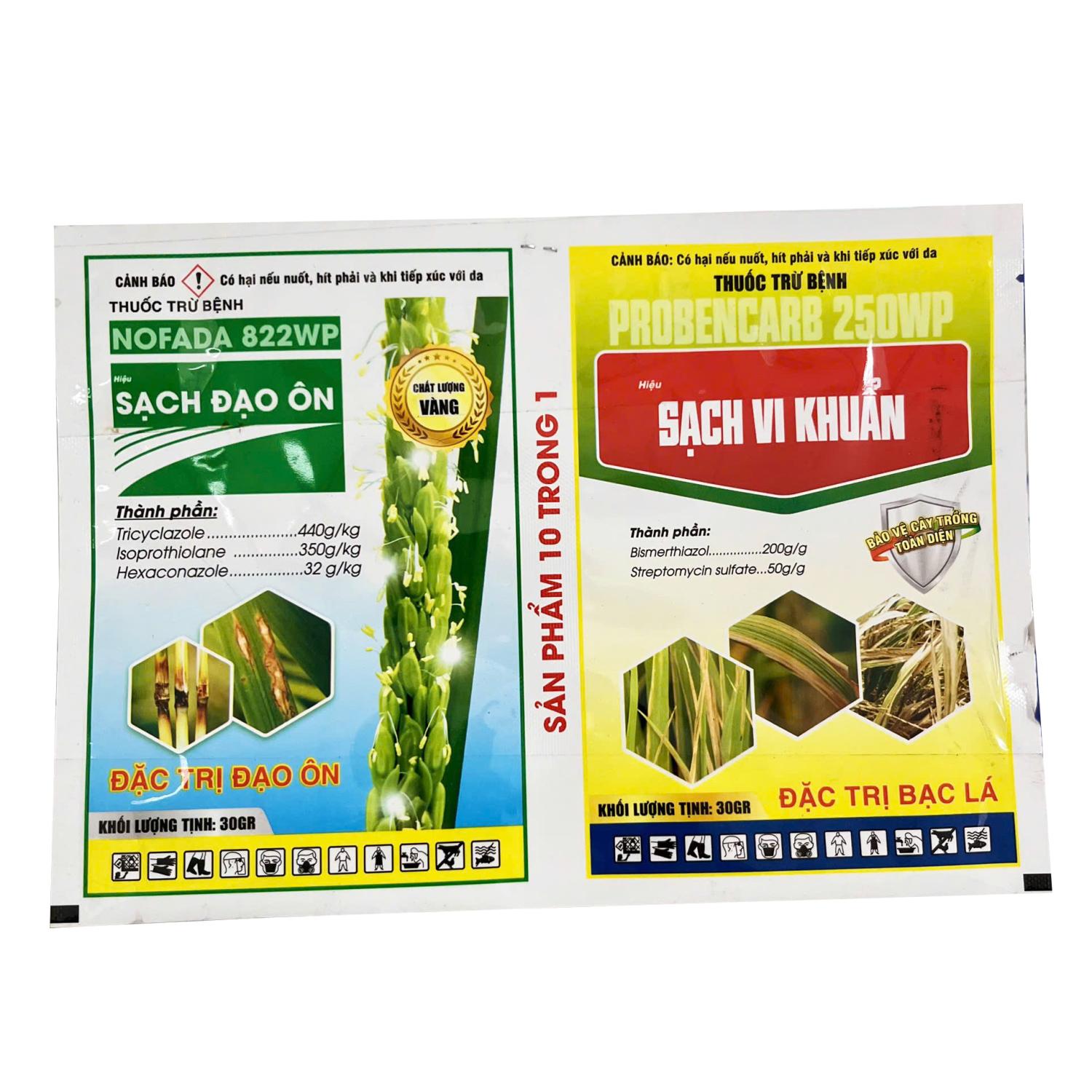 CẶP ĐÔI NẤM KHUẨN