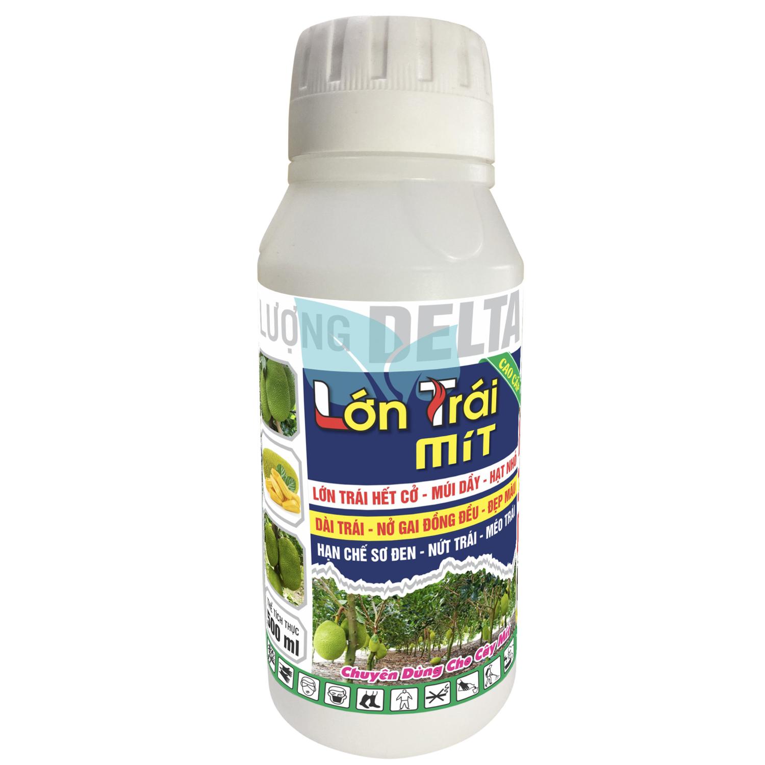 Lớn trái mít