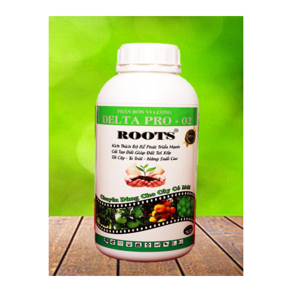 ROOTS