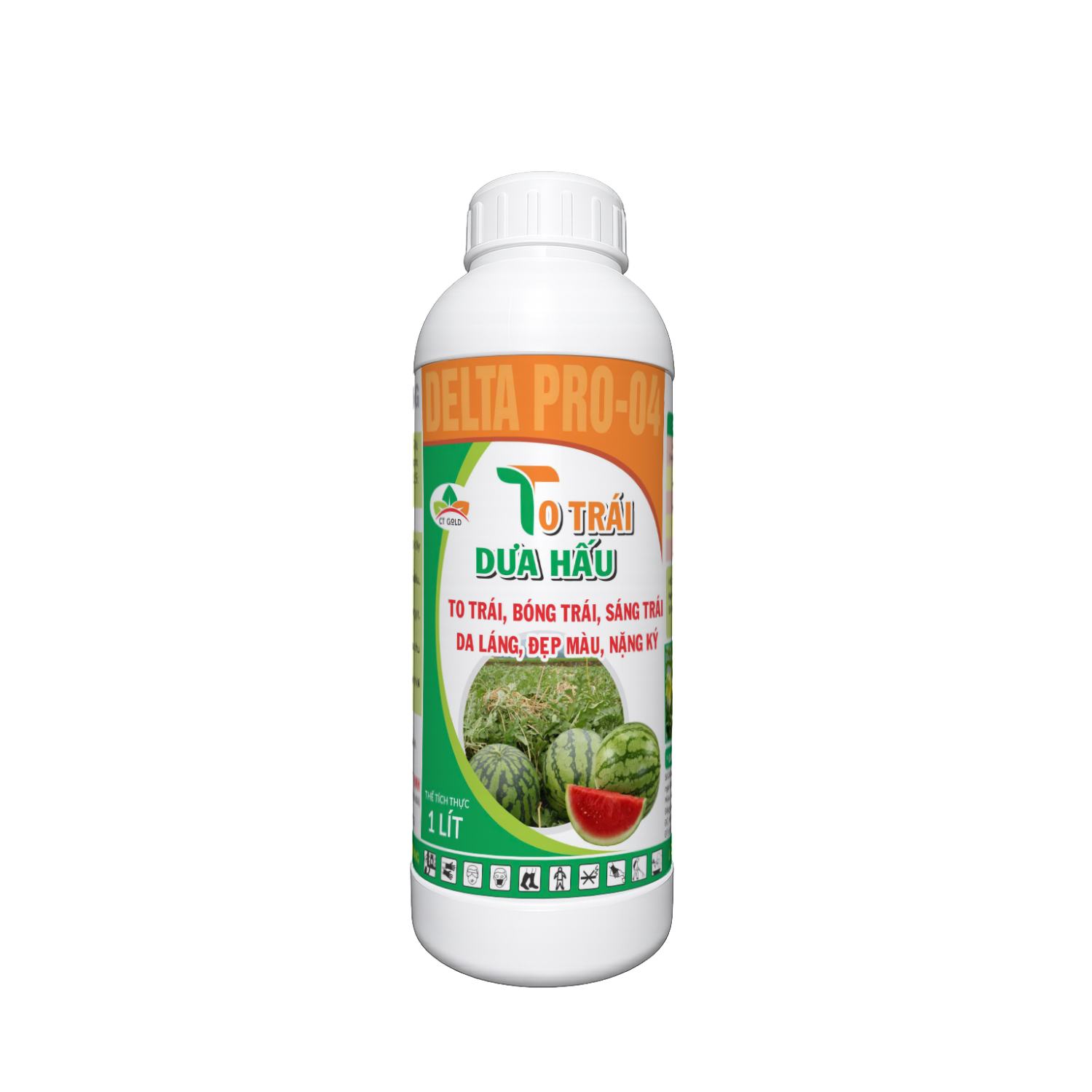 TO TRÁI DƯA HẤU