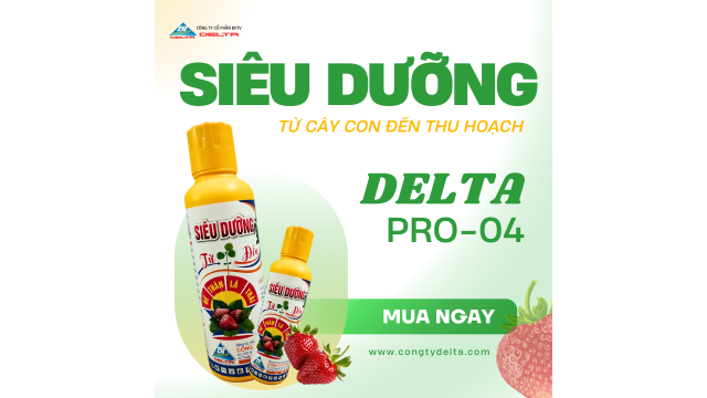 PHÂN BÓN SIÊU DƯỠNG CHUYÊN DÙNG CHO CÂY DÂU TÂY