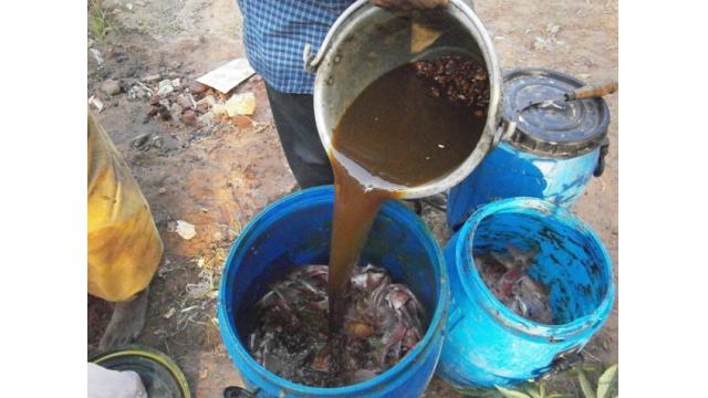 PHÂN ĐẠM CÁ HỮU CƠ _ TÁC DỤNG CỦA NÓ ĐỐI VỚI CÂY TRỒNG