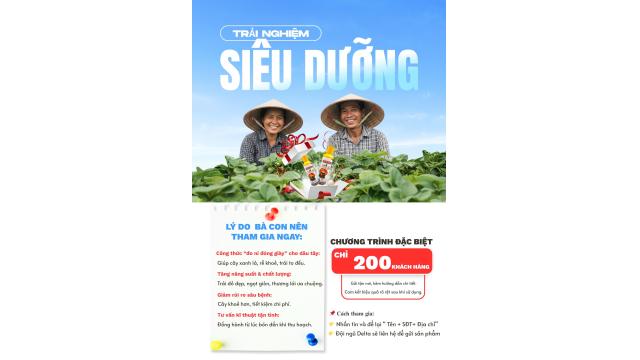 Tặng 200 suất dùng thử phân bón SIÊU DƯỠNG chuyên dụng cho cây dâu tây