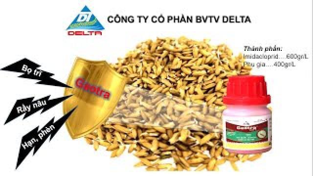 Thuốc xử lý giống Gaotra 600FS