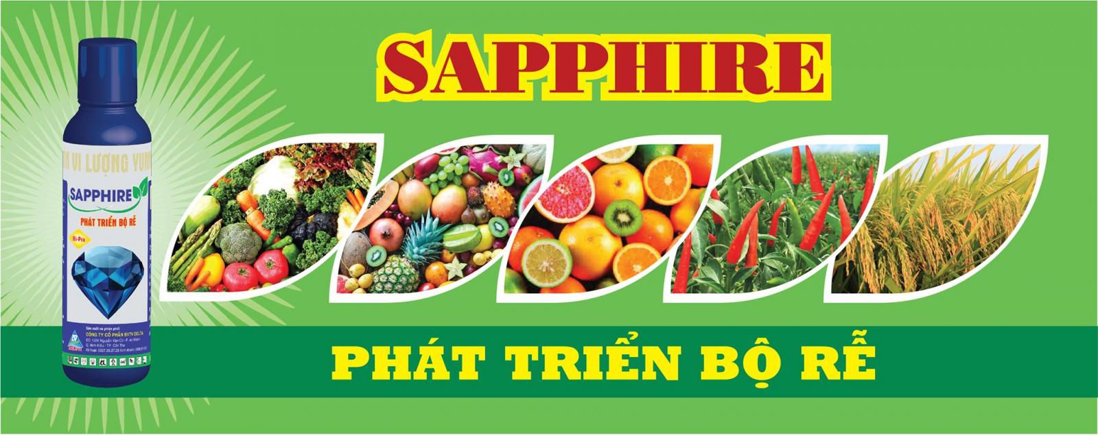  CÔNG TY CP BẢO VỆ THỰC VẬT DELTA