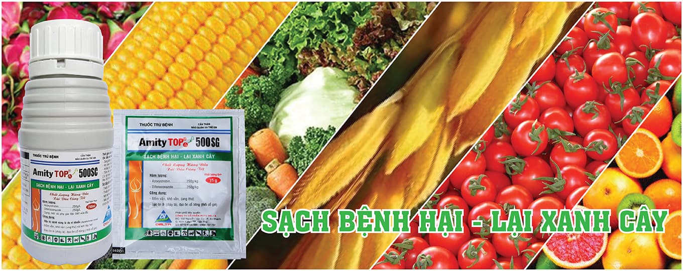  CÔNG TY CP BẢO VỆ THỰC VẬT DELTA