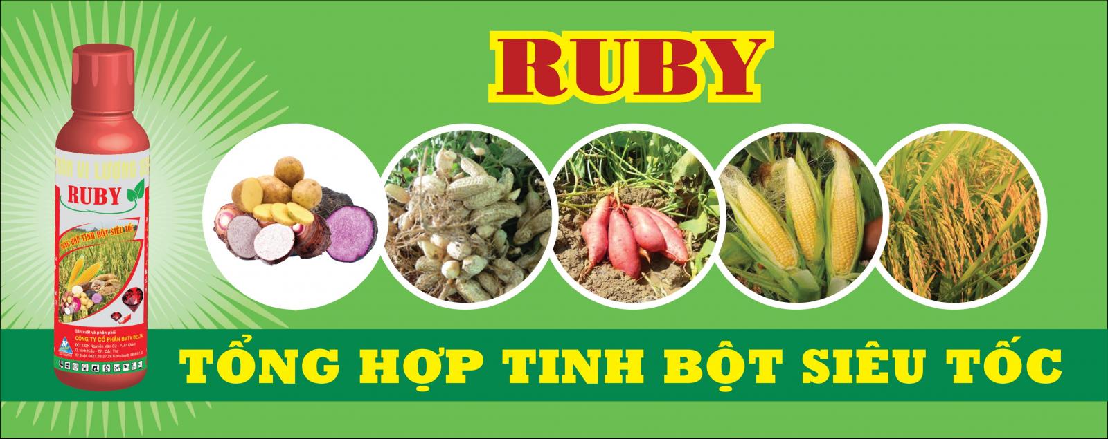  CÔNG TY CP BẢO VỆ THỰC VẬT DELTA